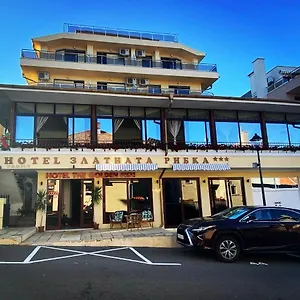 3* Hotel Family The Golden Fish